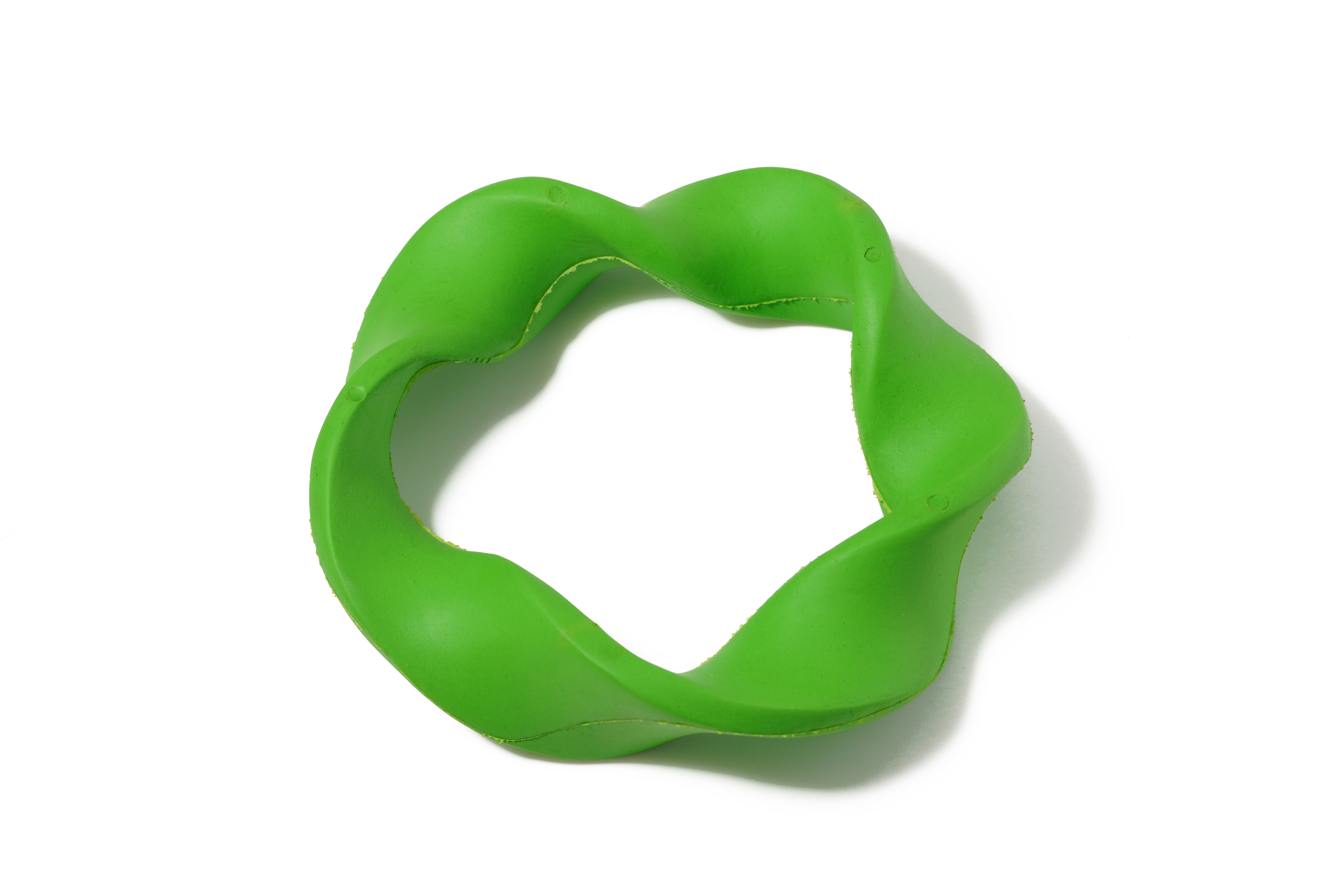 rubber dog toy