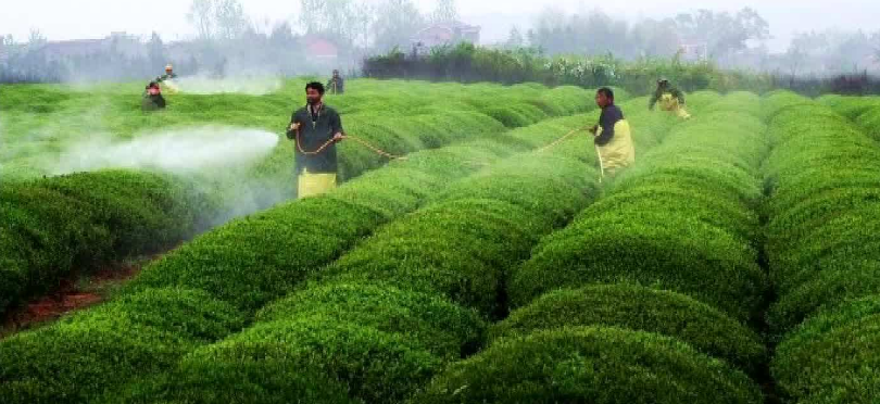 China intends to prohibit, restrict five pesticides, including endosulfan