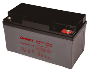 12V 60AH High Quality Deep Cycle Lead Carbon Battery NPC60-12