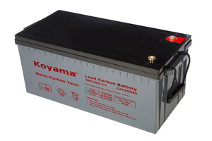12V 200AH High Quality Deep Cycle Lead Carbon Battery NPC200-12