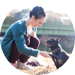 Teach Your Dog to Drop Items on Request