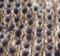 100% Polyester PV Plush Knitting Fabric for Sofa