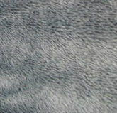 Grey PV Plush Fabric for Sofa