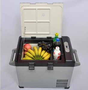 Mini réfrigérateur de gaine de véhicule de C.C de Portable