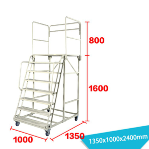Warehouse Ladder LT-10