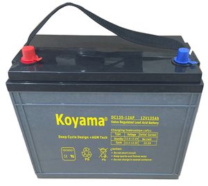 Floor Cleaning Deep-Cycle AGM Battery 