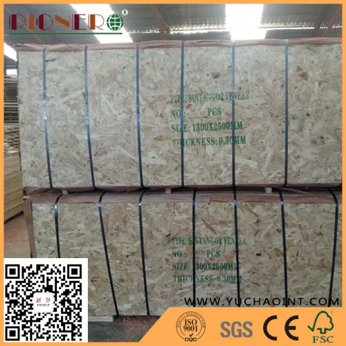Gurjan Veneer, Keruing Veneer, Plb Veneer for Plywood