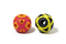 rubber dog toy