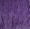 100% Polyester PV Plush Fabric for Sofa