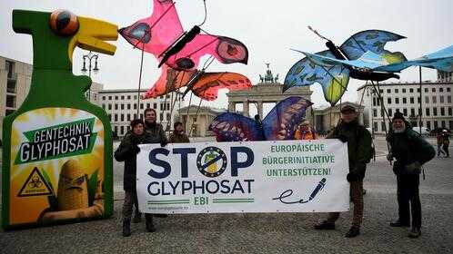 France to vote against EU renewal of glyphosate