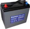 ELECTRIC GOLF CAR/UTILITY DEEP CYCLE BATTERIES
