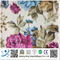 Wholesale African Wax Print Fabric 100% Polyester Super Dutch Hollandaise Wax Fabric