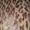 Gold Stampingvelvet of Sofa Fabric