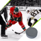 Hug Flight Hockey Pucks