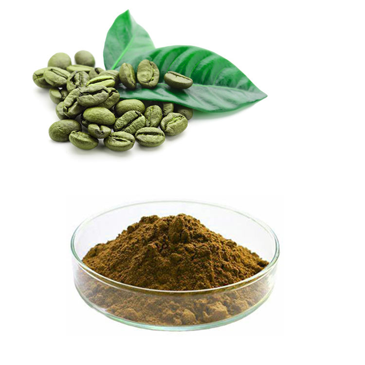 Extracto de granos de café verde
