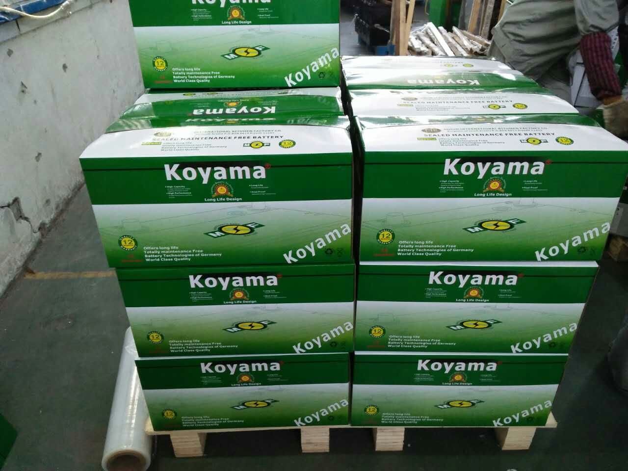 Heavy Duty Truck Battery 