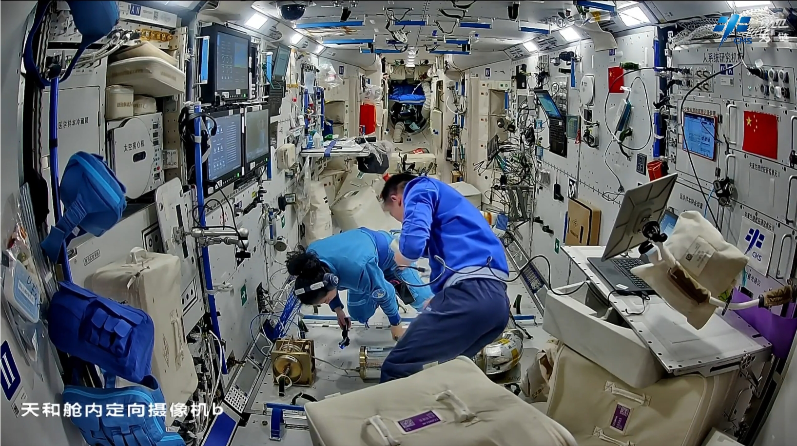 宇航员在中国空间站迎来“新朋友”