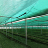 HDPE Green color 100gsm Shade net 