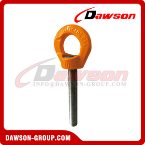 DS-PSA Duplex Stainless Steel Eye Bolt / Lifting Points for Outdoor Working