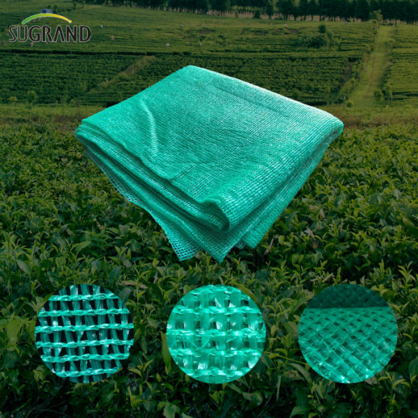 Venta caliente 100% Virgin HDPE seis agujas mono cinta red de sombra verde