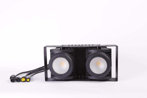 2x100W Outdoor LED Blinder