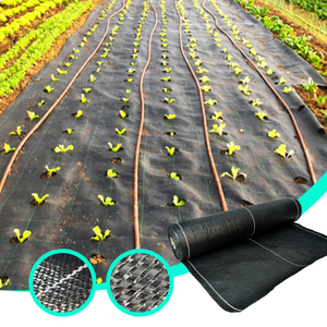 Venta caliente Control de malezas Cubierta de tierra negra para horticultura