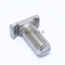 A4 الفولاذ المقاوم للصدأ المطرقة رئيس T بولت M12 * 50MM