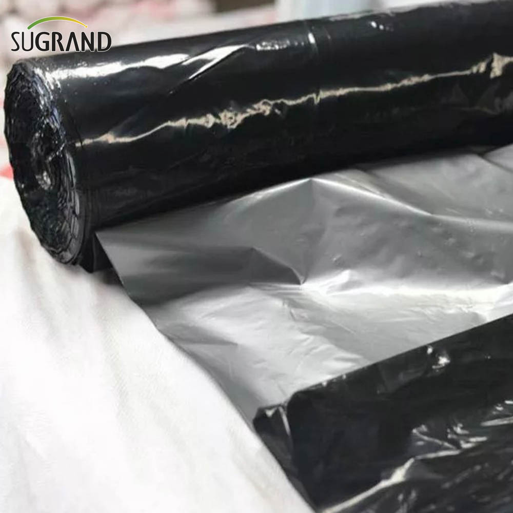 Biotelo Biodegradable Mulch Film Agriplast Mulching