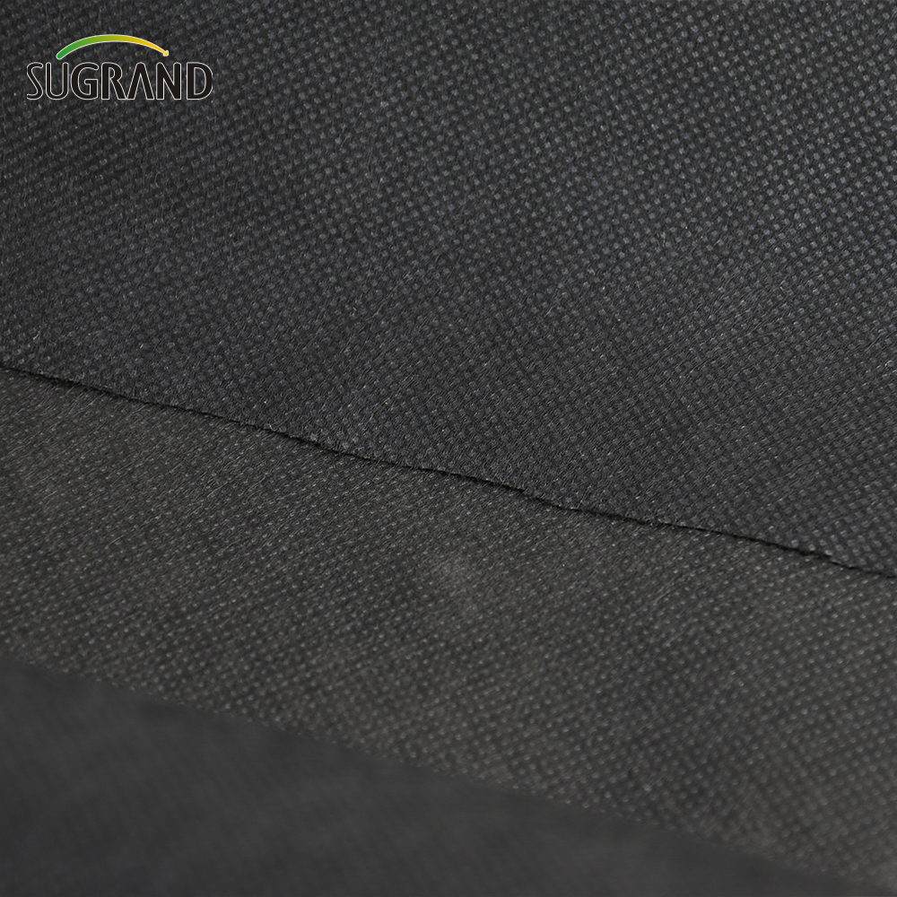 Precio de fábrica Bio Regradable Non Woven Fabric Black 50gsm Non Woven Fabric