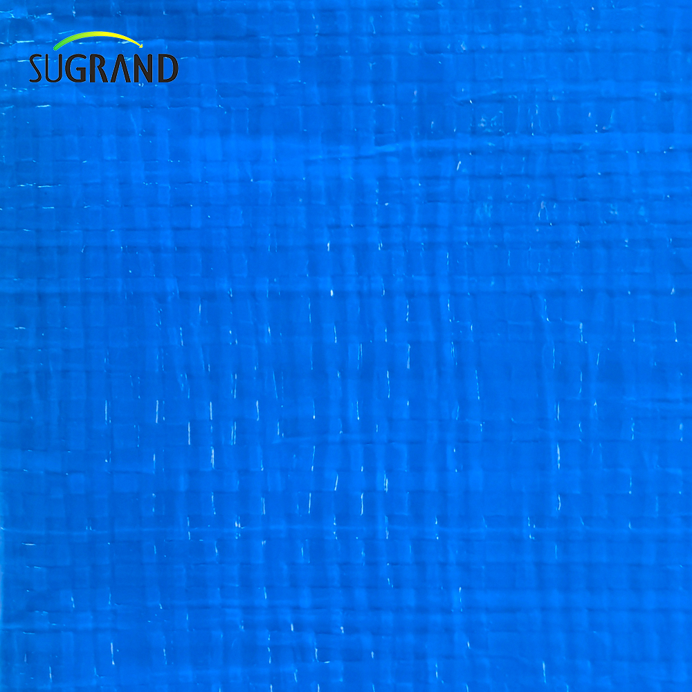 Fabricante de alta resistencia duradera azul impermeable a impermeable lona de PVC