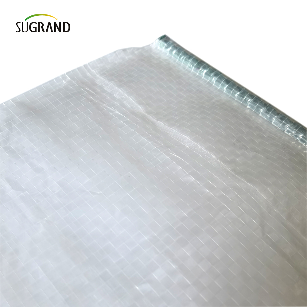 140g / 150g 100% HDPE + lona transparente ULTRAVIOLETA para el proveedor de la cubierta de la cereza