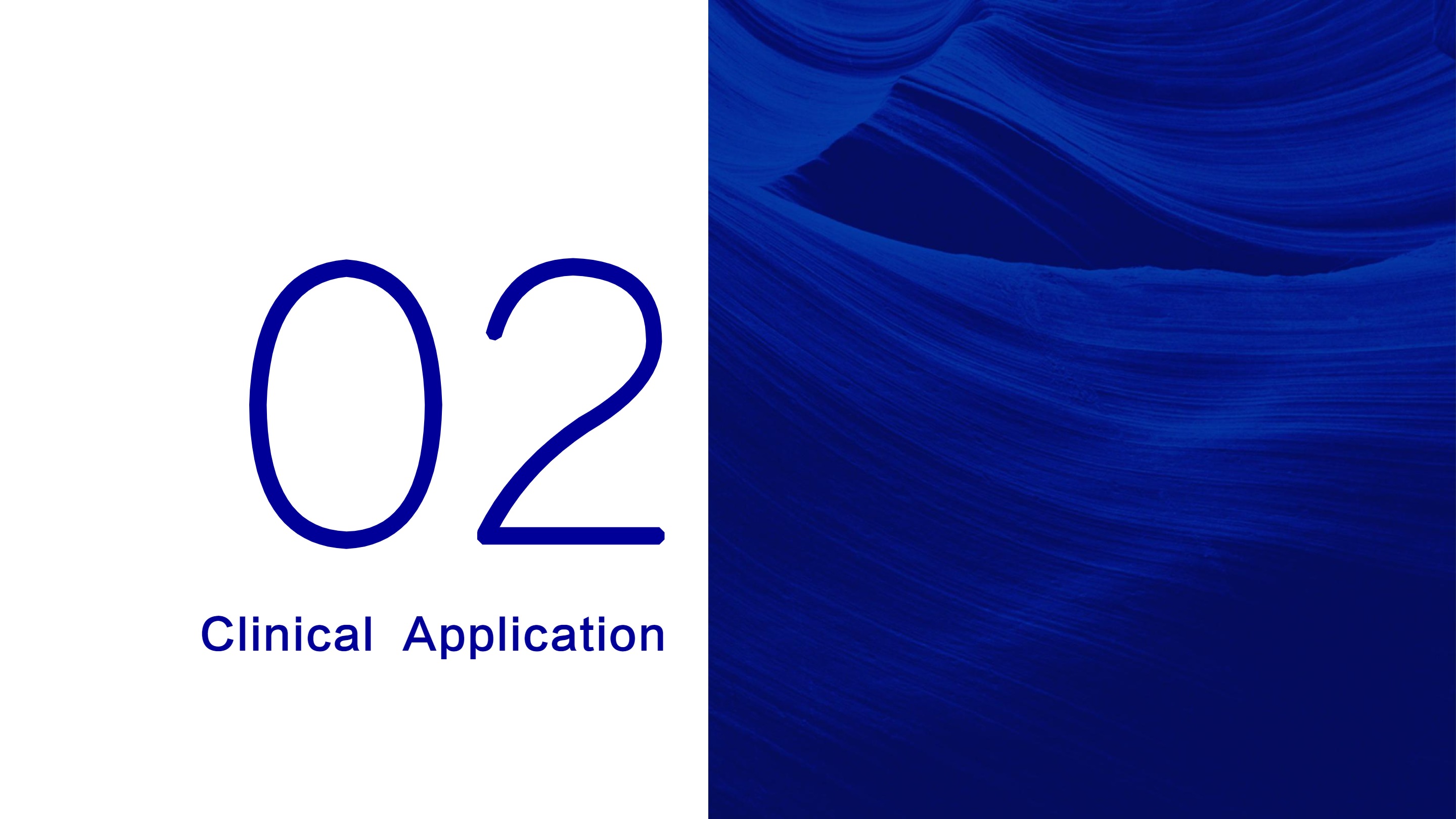 نظام التنظير المتنقل LHO-10-13