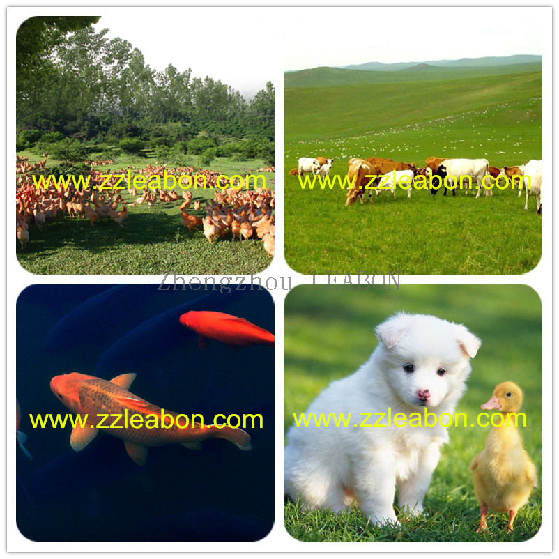 PM-230B Farm Home Use Cattle Poultry Chicken Feed Pellet Making Machine 