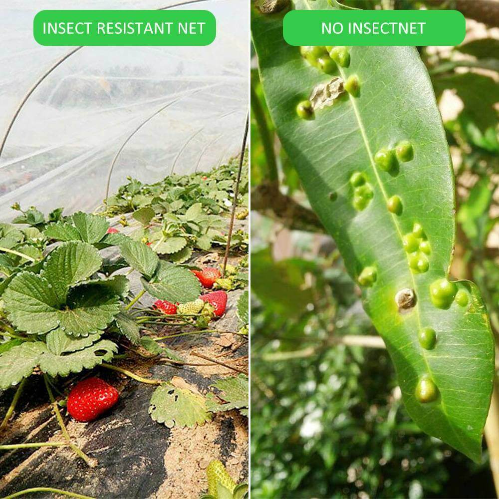 Red anti insectos de la agricultura del HDPE de la malla 40 120GSM