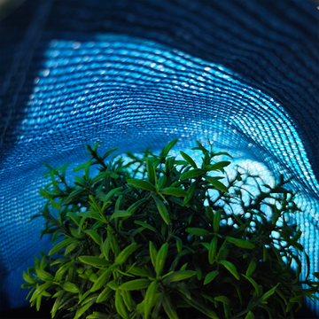 sun shade sail.jpg