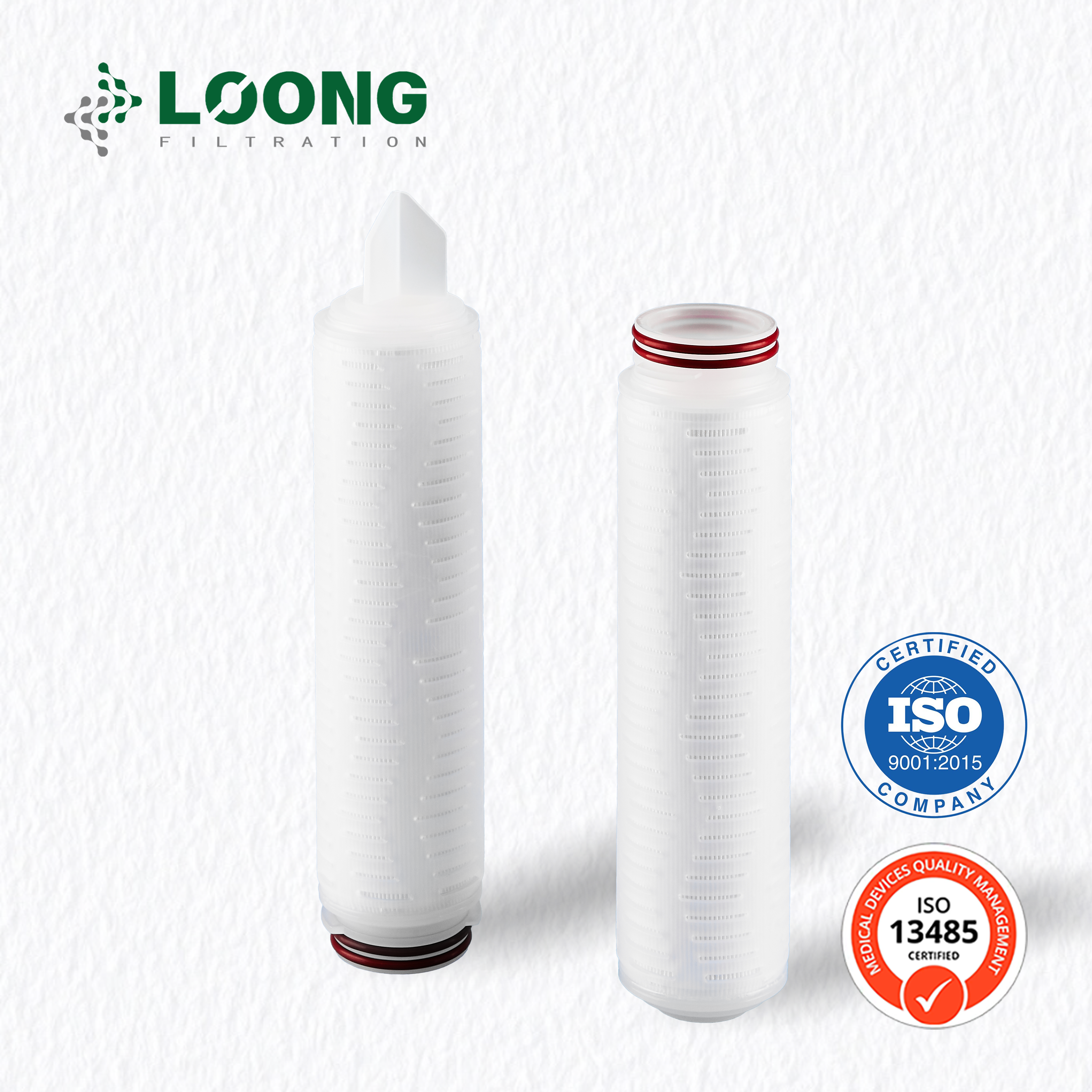 Cartucho de filtro de PTFE (0,45 um）