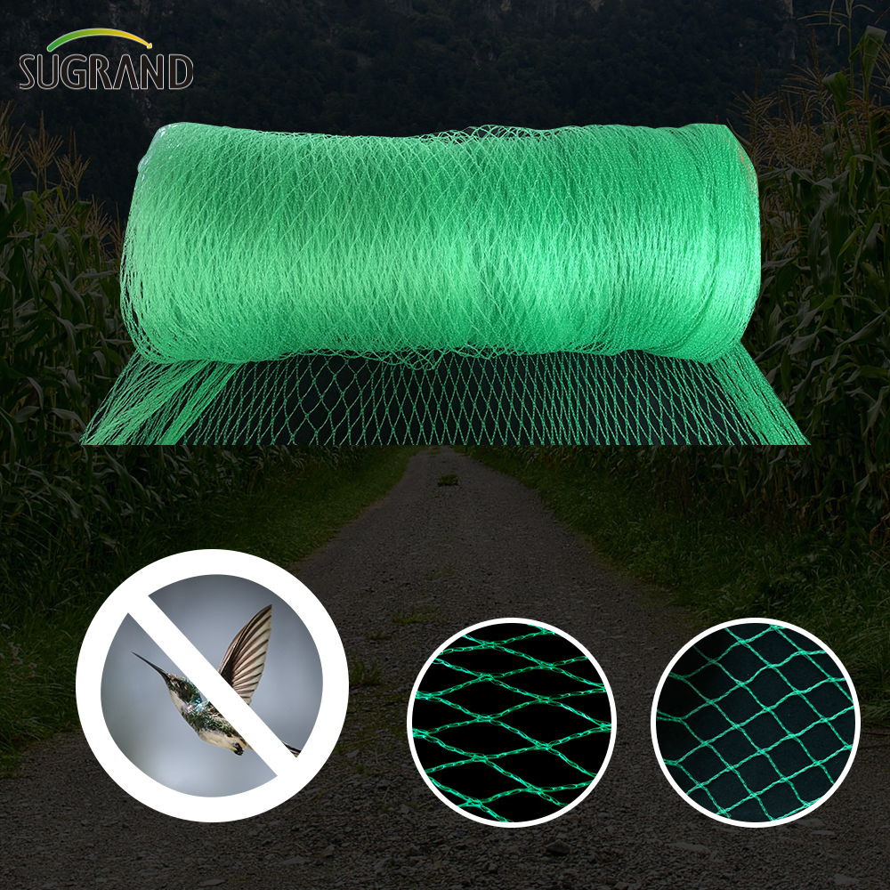 Green Bird Net 4x30m Net Net para proveedores del mercado de Tailandia
