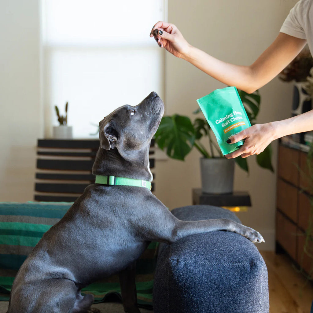 lQDPJxuMEeAKdUnNBADNBACwm7OT4Ag5o5EIivNGGspbAA_1024_10241(2)