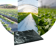 Precio barato de fábrica de plástico negro mulch biodegradable uv mulch película para agricultura
