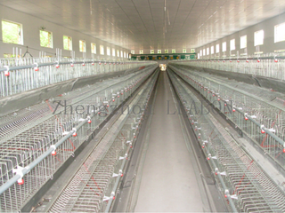 Hot Selling Layers Cage 160 Chickens Poultry Farming Chicken Brooder Cage Egg Chicken Cage