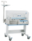 Infant Incubator (model YP-100)