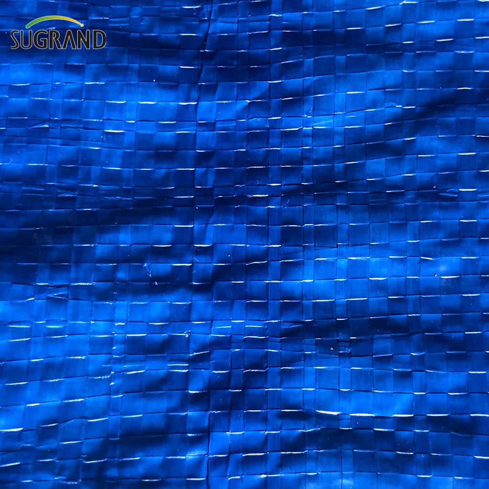 Lona de plástico impermeable PE azul-verde lona para la agricultura