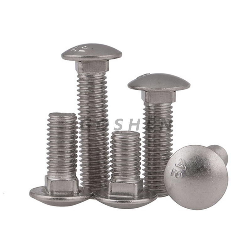 SS304 زر متري رئيس النقل الترباس M6