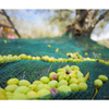 HDPE 95gsm balck color olive net/Harvesting net