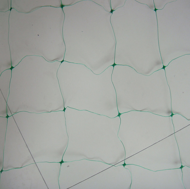 HDPE/PP 8gsm green color planting net/plant support net