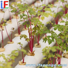 Esponjas de cultivo sin suelo el agua