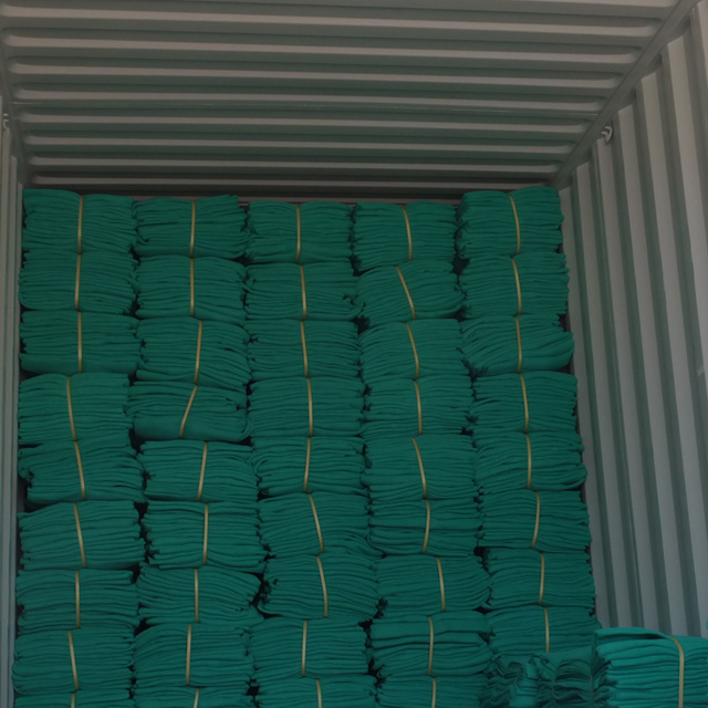 HDPE 220gsm green color scaffold net