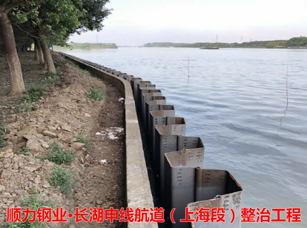 江苏顺力钢业申报的《关于采用冷弯钢板桩加固堤坝能有效提高堤坝安全》可行性研究报告通过专家评估