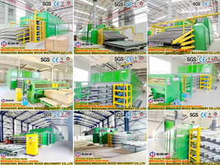 Lini Produksi Kayu Lapis Mesin Pengolah Kayu