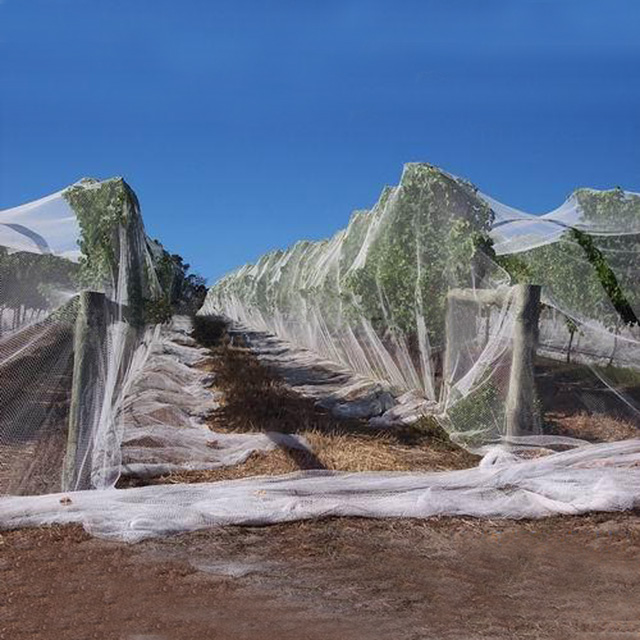 HDPE 45gsm transparent color anti bee net 